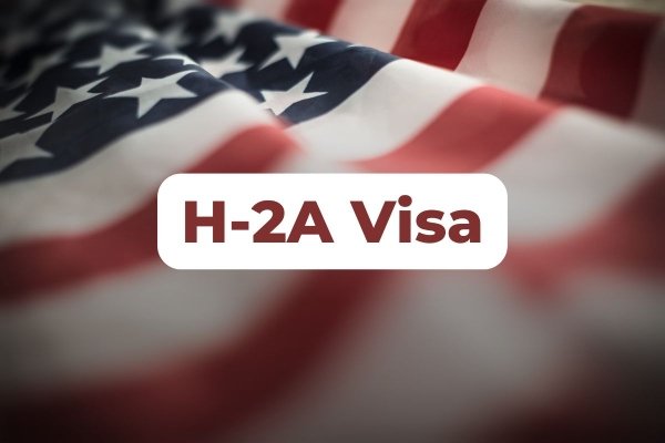 H-2A Visa Jobs: Companies in the USA That Offer Visa Sponsorship